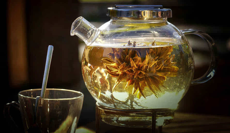 tomar té verde